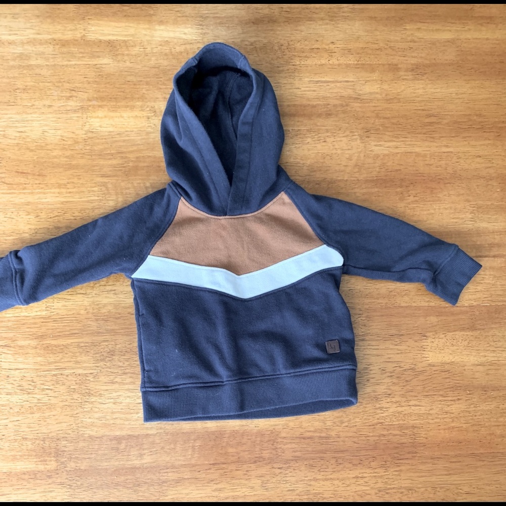 Janie and Jack Chevron hoodie 8-12 months
